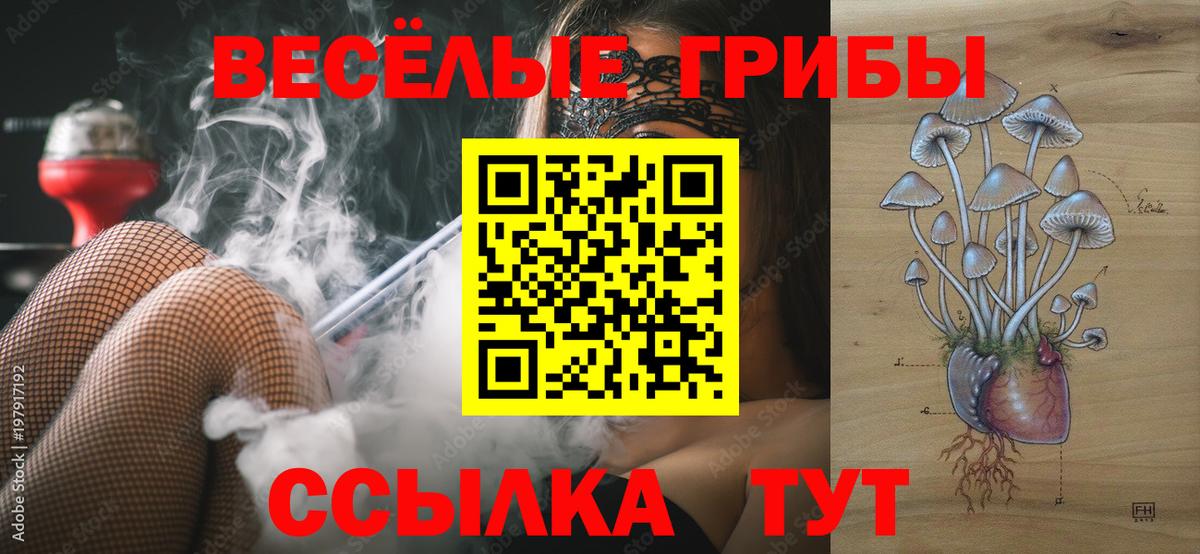 Псилоцибиновые грибы Cubensis  Вход с VPN  Костомукша  Псилоцибиновые грибы ЛСД 