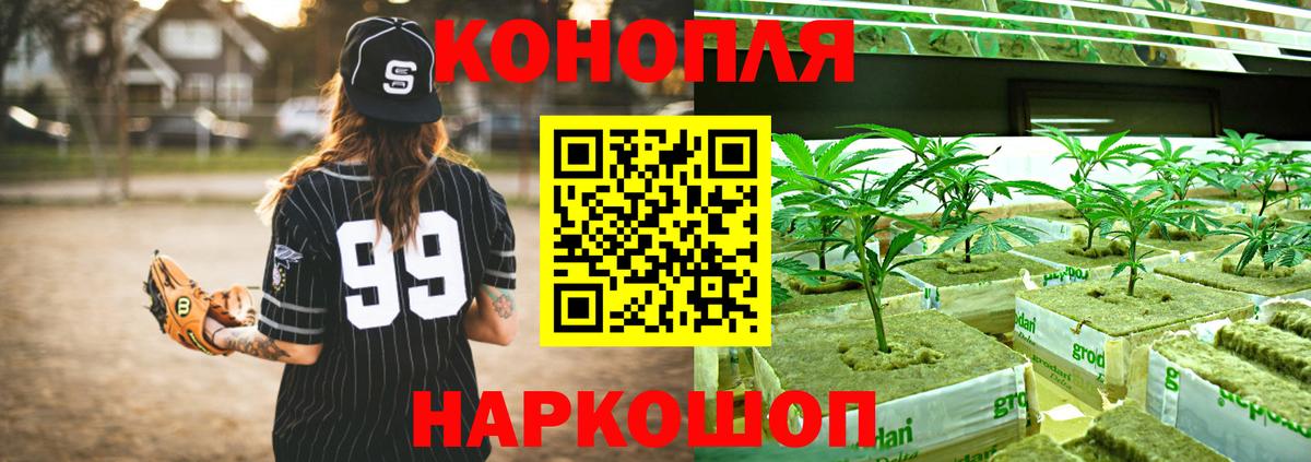 Конопля ГИДРОПОН Костомукша